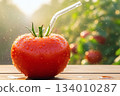 Fresh tomatoes with straws Fresh tomatoes with straws 134010287