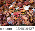 美麗的落葉,覆滿紅色 美麗的落葉,覆滿紅色 134010427