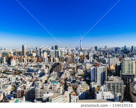 Tokyo Skytree and the wider Bunkyo, Taito, and Sumida wards 134010533
