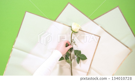 A white rose stem is aligned onto a stack of bouquet wrapping paper held over a bright green background. The floral prep is in progress. A white rose stem is aligned onto a stack of bouquet wrapping paper held over a bright green background. The floral prep is in progress. 134010728