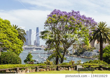 Clark Park in Sydney Australia Clark Park in Sydney Australia 134010829