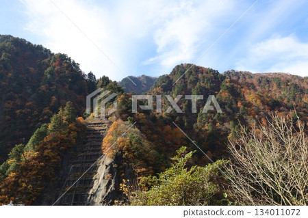 黑部鐵道：從電車上拍攝的秋葉染紅的山巒 134011072