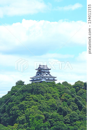 Scenery of Inuyama Castle, a national treasure in Inuyama City, Aichi Prefecture 134011555