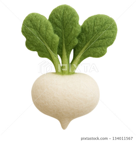 [蔬菜]蘿蔔插畫 134011567