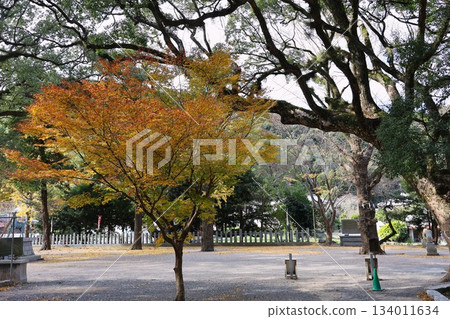 秋日寺廟庭院，樹木落葉紛飛。 134011634