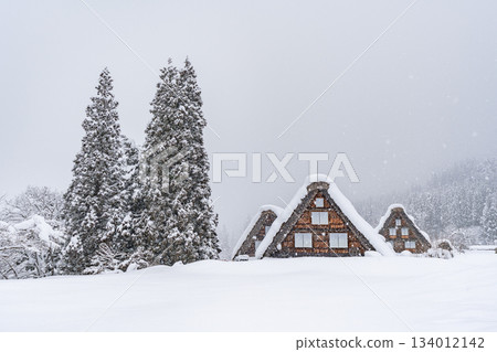 Shirakawago snow scene 134012142
