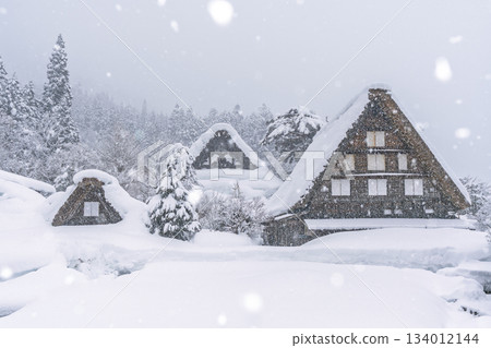 Shirakawago雪景 134012144