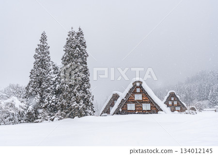 Shirakawago snow scene Shirakawago snow scene 134012145