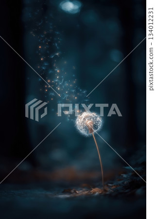 dandelion, cotton, photogenic 134012231