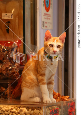 A cat stands guard on top of luxury ingredients for sale at a dried goods store in De Voeux Road West, Hong Kong. A cat stands guard on top of luxury ingredients for sale at a dried goods store in De Voeux Road West, Hong Kong. 134012299