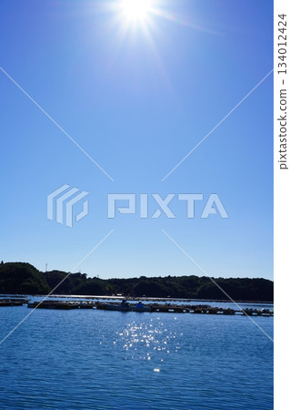 Sea Sea 134012424