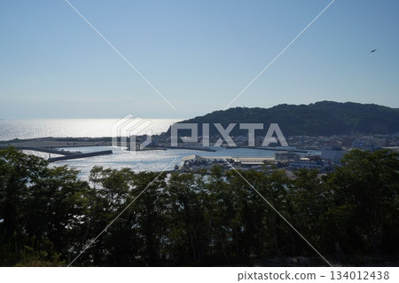 Tokoname 134012438