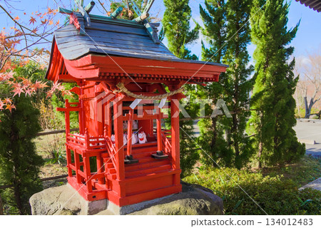 Naritasan Sendai Branch: Autumn colors of Shusse Inari Shrine and a small shrine building Naritasan Sendai Branch: Autumn colors of Shusse Inari Shrine and a small shrine building 134012483