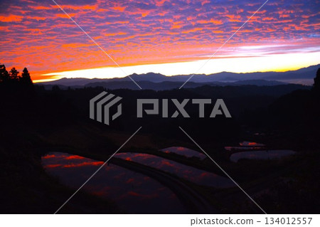 Sea of clouds, terraced pond, rice terraces, Echigo Satoyama, dawn 134012557