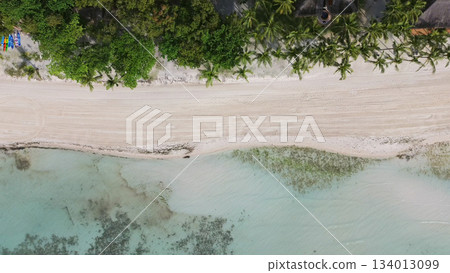 Tropical beach with white sand and palm trees Tropical beach with white sand and palm trees 134013099