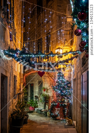 Narrow alley with cats decorated with garland and string lights in Kotor Narrow alley with cats decorated with garland and string lights in Kotor 134013123