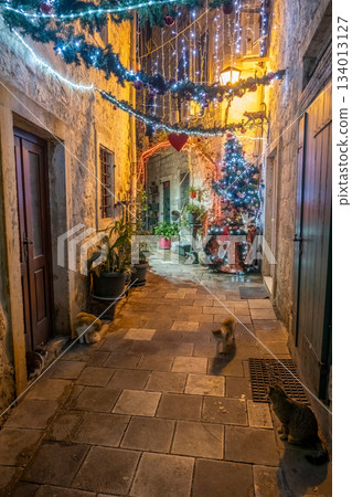 Narrow alley with cats decorated with garland and string lights in Kotor Narrow alley with cats decorated with garland and string lights in Kotor 134013127