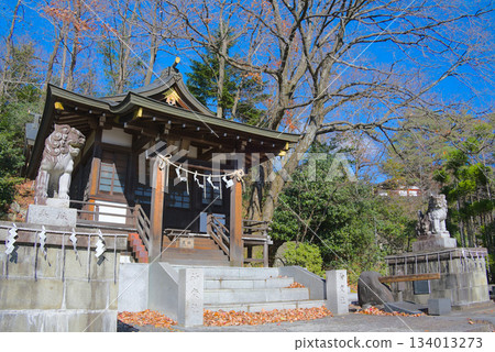 The scenery of Shinhen Shrine and the guardian lions standing in silence within the grounds of Daikoku Shrine The scenery of Shinhen Shrine and the guardian lions standing in silence within the grounds of Daikoku Shrine 134013273