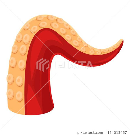 Octopus tentacle showing suction cups and red skin Octopus tentacle showing suction cups and red skin 134013467