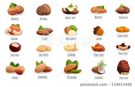 Nut icon set, cartoon style 134013486