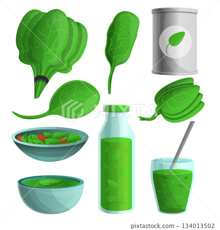 Spinach icon set, cartoon style 134013502