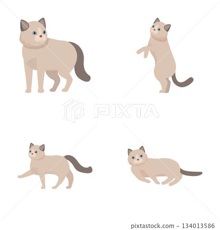 Set of cute cartoon siamese cats in various poses 134013586