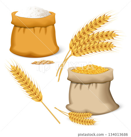 Barley wheat icon set, realistic style Barley wheat icon set, realistic style 134013686