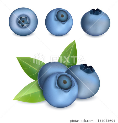Bilberry icons set, realistic style 134013694