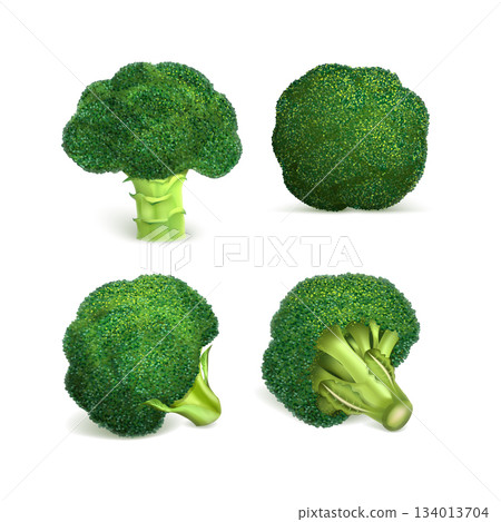 Broccoli icon set, realistic style 134013704