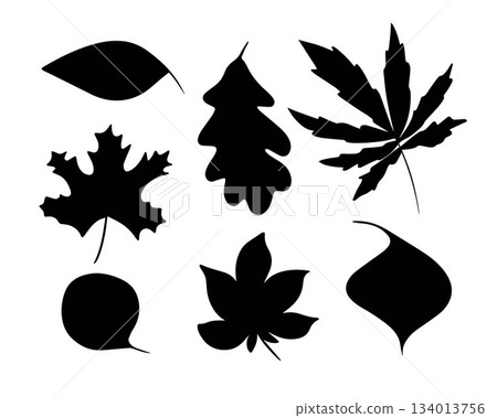 Vector isolated illustration of autumn leaves set.Silhouettes of leaves. Vector isolated illustration of autumn leaves set.Silhouettes of leaves. 134013756