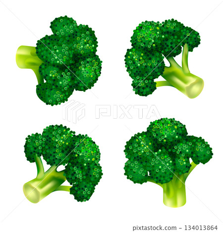 Green broccoli icon set, isometric style 134013864