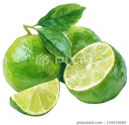 lime lime 134014084