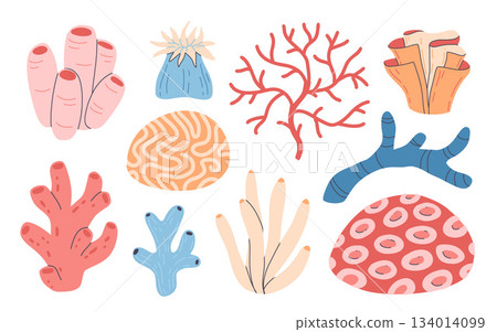 Set of underwater ocean coral reef plants, corals and anemones. Aquatic and aquarium seaweeds, tropical coral-reef elements. Marine algae, sea wildlife, sponges and seagrasses elements collection. Set of underwater ocean coral reef plants, corals and anemones. Aquatic and aquarium seaweeds, tropical coral-reef elements. Marine algae, sea wildlife, sponges and seagrasses elements collection. 134014099