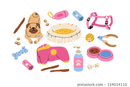 Dog accessories and toys supply set for puppy shop. Veterinary food product and care goods, dog clothes and beds. vector illustration isolated on white background Dog accessories and toys supply set for puppy shop. Veterinary food product and care goods, dog clothes and beds. vector illustration isolated on white background 134014110