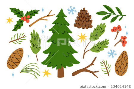 Christmas vector plant, pine cone, branch spruce and fir, evergreen tree, holly berry, rowan isolated on white background. Cartoon holiday nature illustration Christmas vector plant, pine cone, branch spruce and fir, evergreen tree, holly berry, rowan isolated on white background. Cartoon holiday nature illustration 134014148