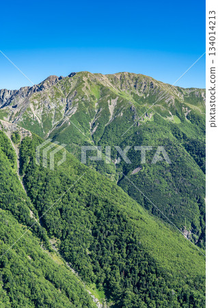 從大倉山脊的富士見平眺望荒川嶽(荒川三山)。攀登南阿爾卑斯山的赤石山。 從大倉山脊的富士見平眺望荒川嶽(荒川三山)。攀登南阿爾卑斯山的赤石山。 134014213