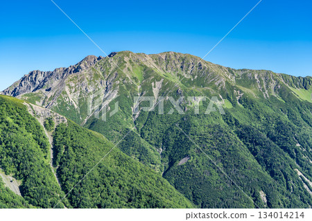 從大倉山脊的富士見平眺望荒川嶽(荒川三山)。攀登南阿爾卑斯山的赤石山。 從大倉山脊的富士見平眺望荒川嶽(荒川三山)。攀登南阿爾卑斯山的赤石山。 134014214