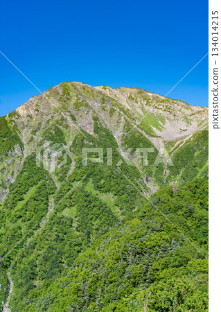 Akaishidake seen from Fujimi-daira on the Okura Ridge. Climbing Akaishidake in the Southern Alps. 134014215