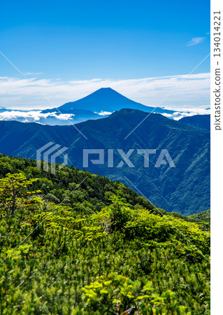 Mount Fuji seen from Fujimi-daira on the Okura Ridge. Climbing Mount Akaishi in the Southern Alps. Mount Fuji seen from Fujimi-daira on the Okura Ridge. Climbing Mount Akaishi in the Southern Alps. 134014221