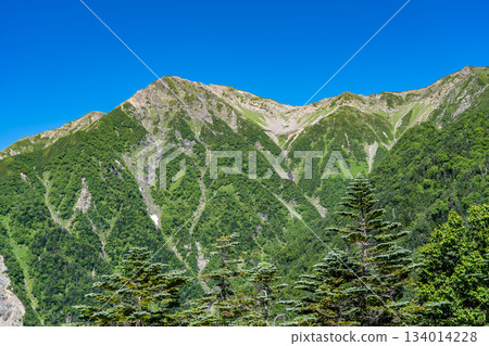 從赤石山小屋眺望赤石山頂峰。攀登南阿爾卑斯山赤石山 從赤石山小屋眺望赤石山頂峰。攀登南阿爾卑斯山赤石山 134014228