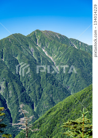 The summit of Mt. Hijiri (Mt. Maehijiri and Mt. Okuhijiri) seen from Akaishi hut. Climbing Mt. Akaishi in the Southern Alps 134014229