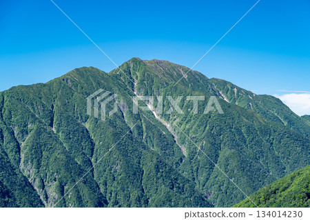 The summit of Mt. Hijiri (Mt. Maehijiri and Mt. Okuhijiri) seen from Akaishi hut. Climbing Mt. Akaishi in the Southern Alps 134014230