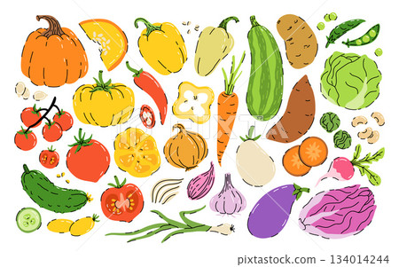 Collection of hand drawn vegetable illustrations isolated on white background. Bundle of fresh delicious vegan diet vegetarian products, wholesome healthy food, cooking ingredients. Flat cartoon style 134014244
