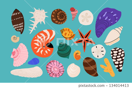 Seashells vector set. Collection of flat, cartoon modern flat icons of molluscs sea shells, starfish, sea urchin, crab, coral. Trendy coral reef under water collection isolated on white Seashells vector set. Collection of flat, cartoon modern flat icons of molluscs sea shells, starfish, sea urchin, crab, coral. Trendy coral reef under water collection isolated on white 134014413