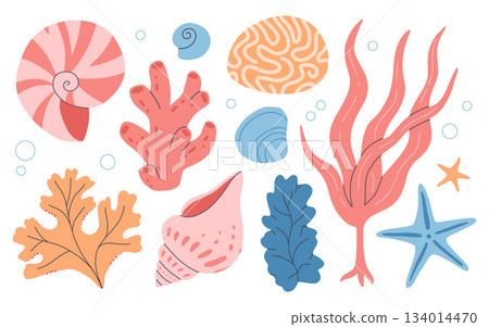 Set of underwater ocean coral reef plants, corals, anemones and shells. Aquatic and aquarium seaweeds, tropical coral-reef elements. Marine algae, sea wildlife, sponges, seagrasses and mollusk shells. Set of underwater ocean coral reef plants, corals, anemones and shells. Aquatic and aquarium seaweeds, tropical coral-reef elements. Marine algae, sea wildlife, sponges, seagrasses and mollusk shells. 134014470