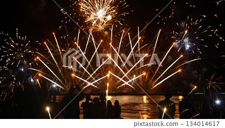 Golden Firework celebrate anniversary independence day night time celebrate national holiday. Countdown to new year 2024 party time event. Happy new year 2024, 4th of july holiday festival concept 134014617