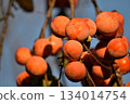 Ripe treeberry mulberry fruit 134014754