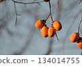 Ripe treeberry mulberry fruit 134014755