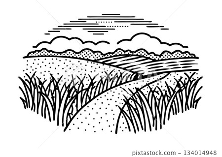 Countryside landscape illustration with grassy field, winding path, hills, clouds and sunrise line art, AI Generative Countryside landscape illustration with grassy field, winding path, hills, clouds and sunrise line art, AI Generative 134014948