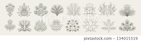 Art deco flowers. Botanical floral logo. Geometric line frame. Boho plant corner. Abstract bohemian ornament. Symmetry natural branch with blossoms or berries. Vector sketch elements set Art deco flowers. Botanical floral logo. Geometric line frame. Boho plant corner. Abstract bohemian ornament. Symmetry natural branch with blossoms or berries. Vector sketch elements set 134015319